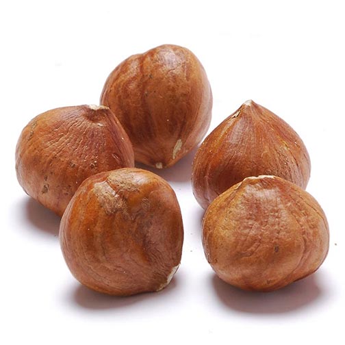 Hazelnut